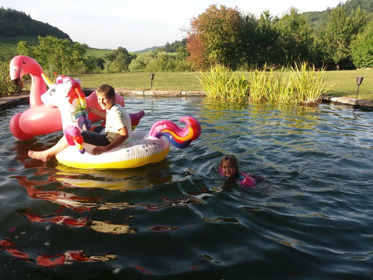 Döttingen Paradies 1 מראה חיצוני תמונה